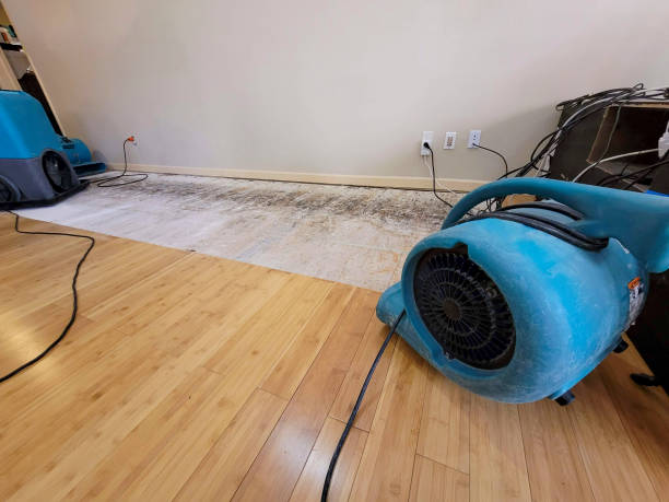 Professional Basement Flood Cleanup technician working in Clements, CA